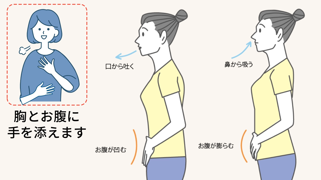 腹式呼吸法イラスト